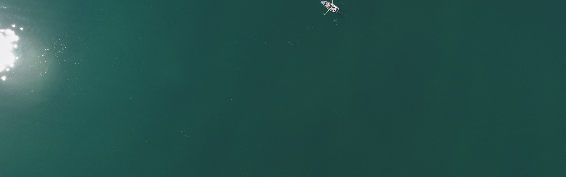 Panorama over Lake Constance with alpine views